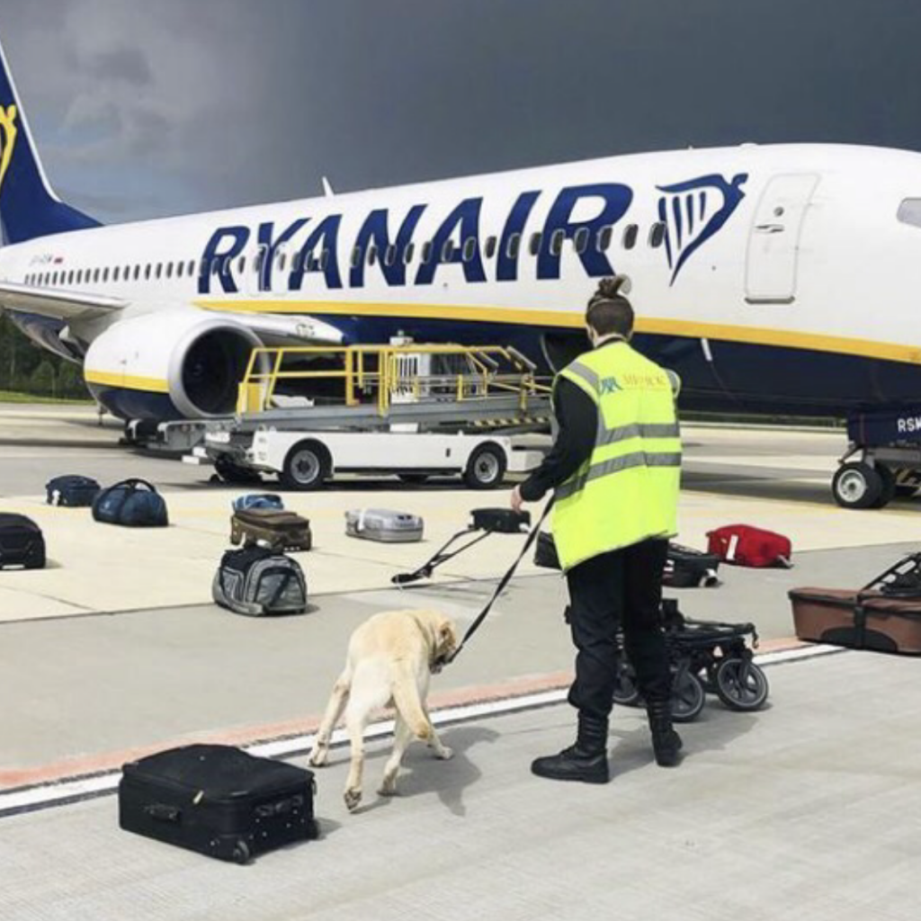 Vol détourné, le journaliste Protassevitch arrêté