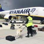 Vol détourné, le journaliste Protassevitch arrêté