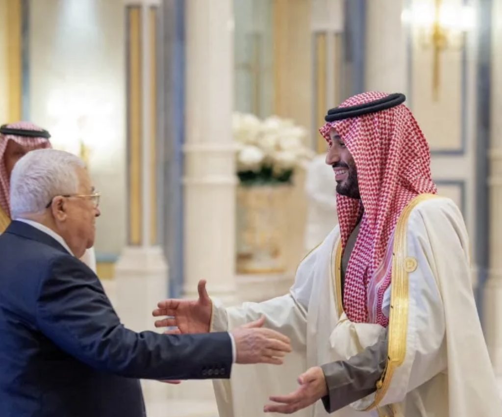 Les États arabes et musulmans demandent un cessez-le-feu à Gaza